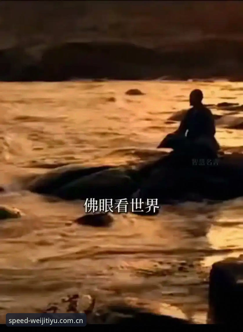维基APP官网入口 佛罗伦萨挑人眼光独到:小将米雷蒂为何值得放弃高薪老将?